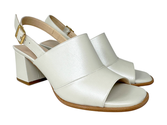 2658 Beige Latte