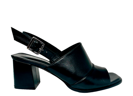 2658 Negro