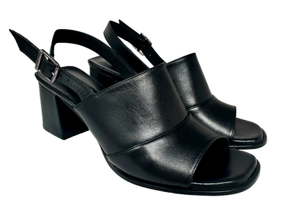 2658 Negro