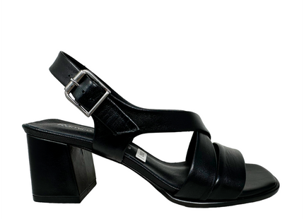 2662 Negro