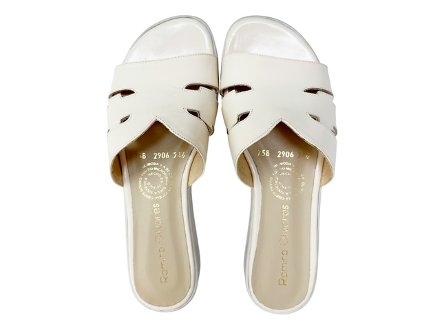 2906 Beige Latte Alto Brillo