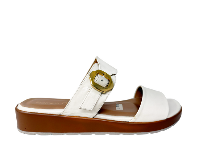 2913 Blanco