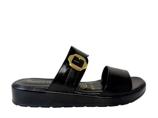 2913 - Negro