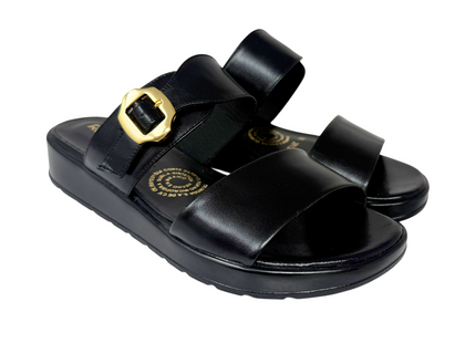 2913 - Negro