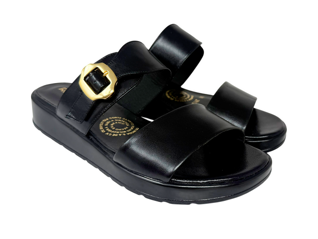 2913 - Negro