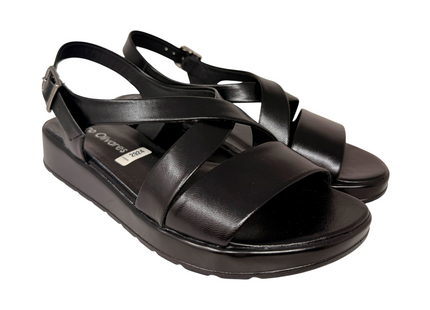2924 Negro