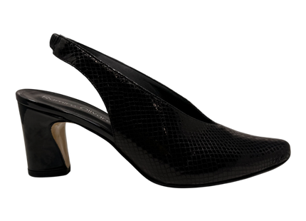 3665 Negro Aspit