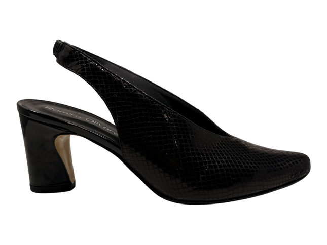 3665 Negro Aspit
