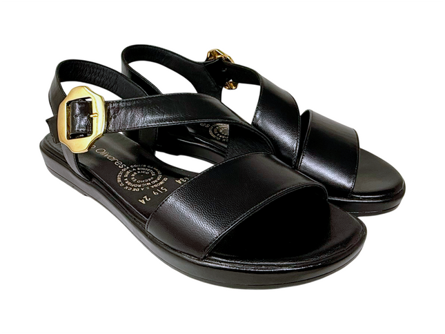 519 Negro