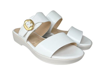 5258 Blanco