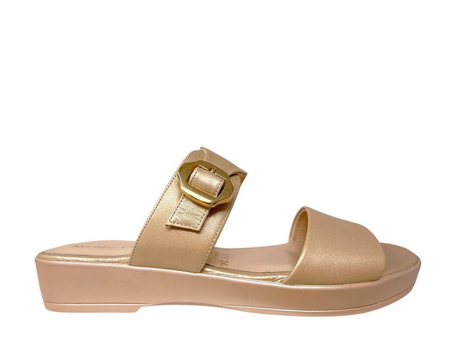 5258 Oro Mate