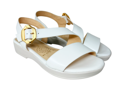 5263 Blanco