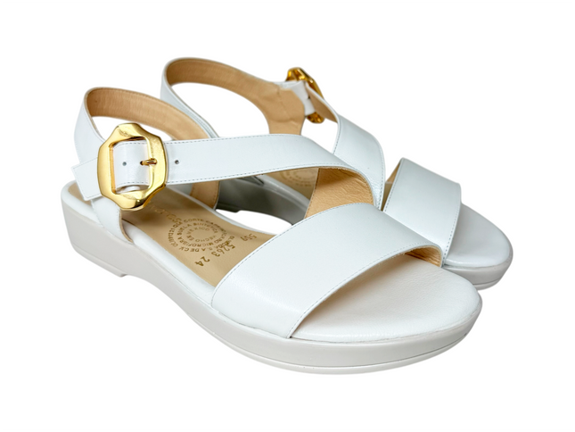 5263 Blanco