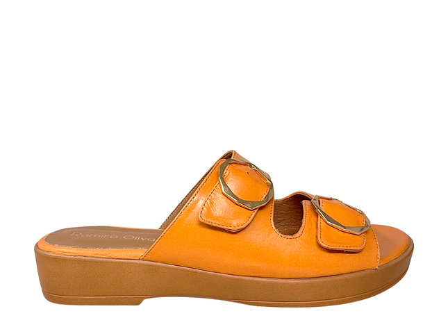 5293 - Mandarina