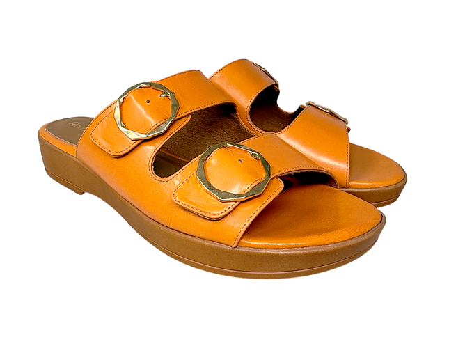 5293 - Mandarina
