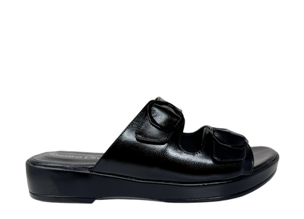5293 - Negro