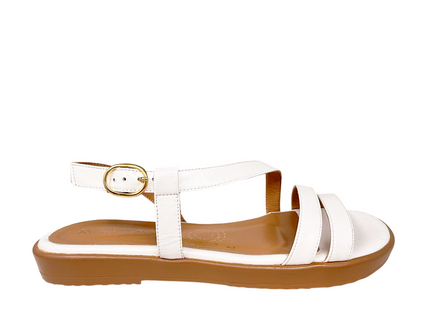 539 Blanco