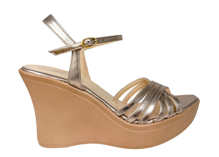 5608 Champagne