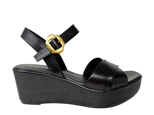 7447 - Negro